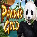 Panda`s Gold